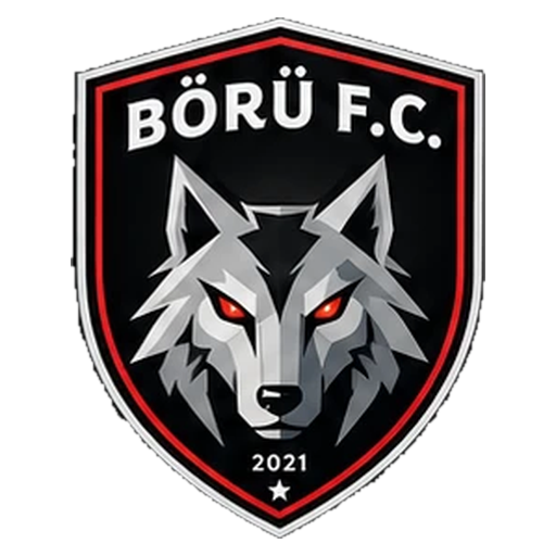 Börü FC