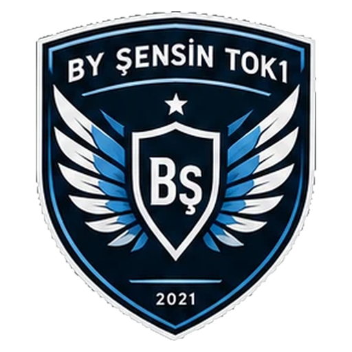 By Şensin Tok1
